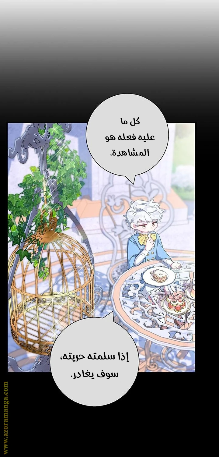 الصفحة 53