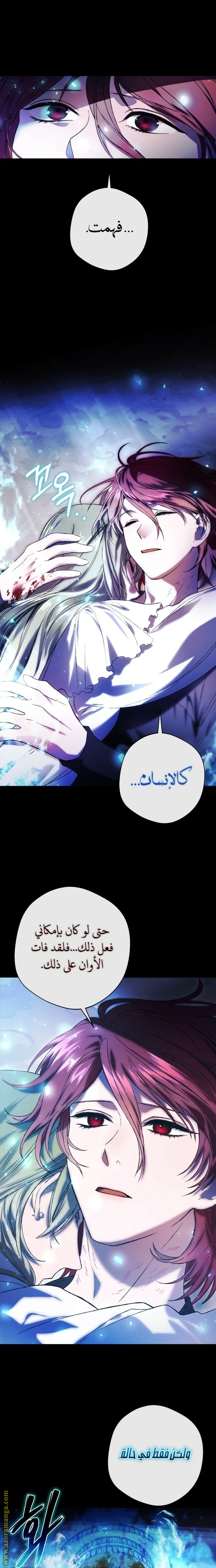 الصفحة 17