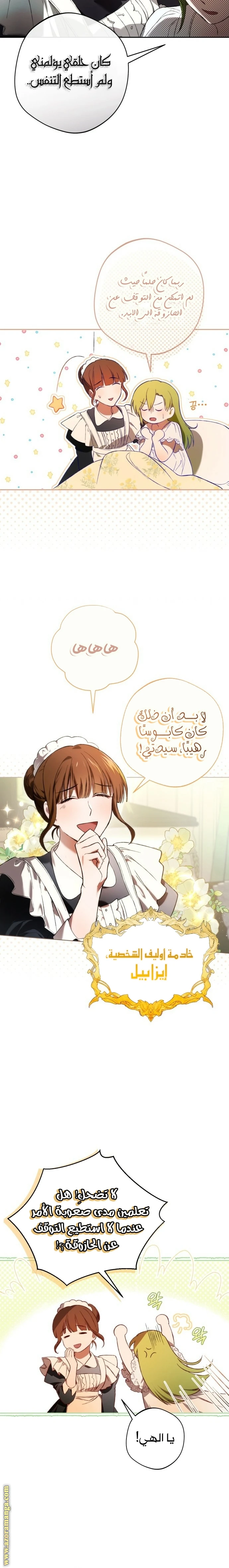 الصفحة 21