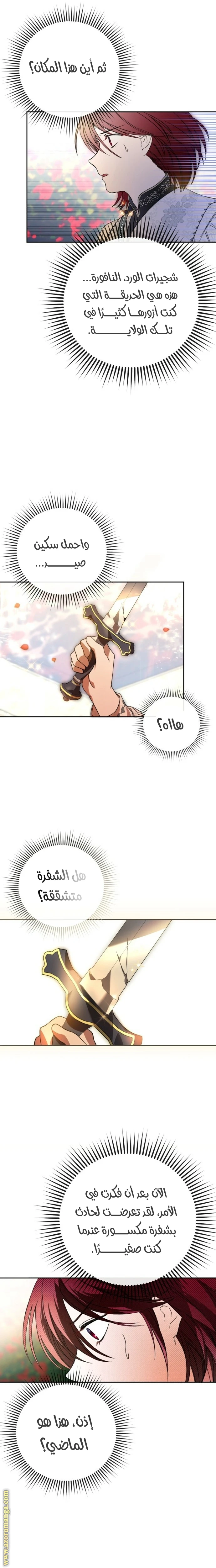 الصفحة 27