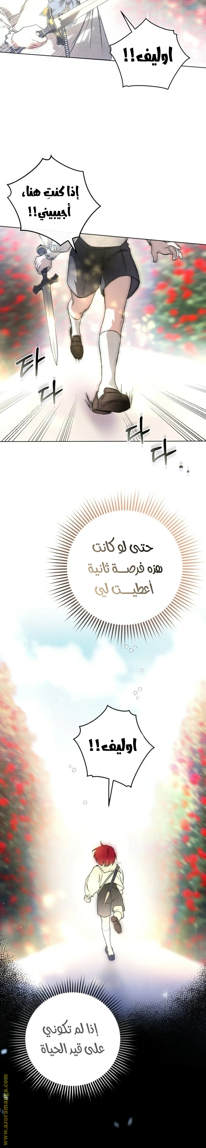 الصفحة 29