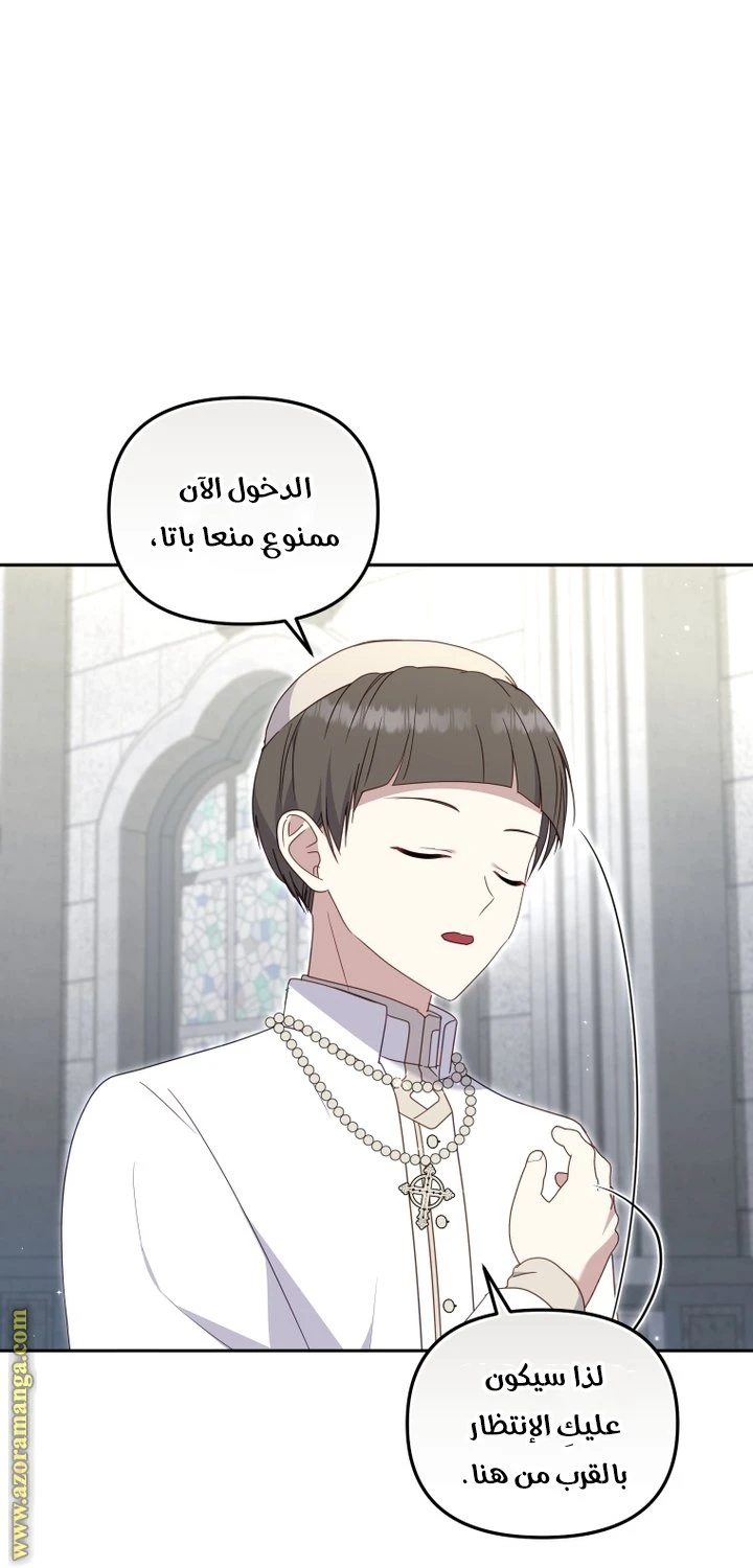 الصفحة 31