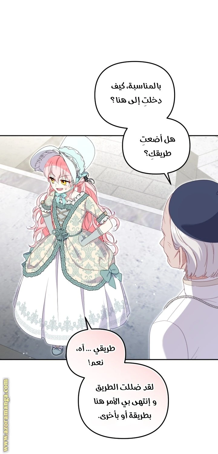 الصفحة 39
