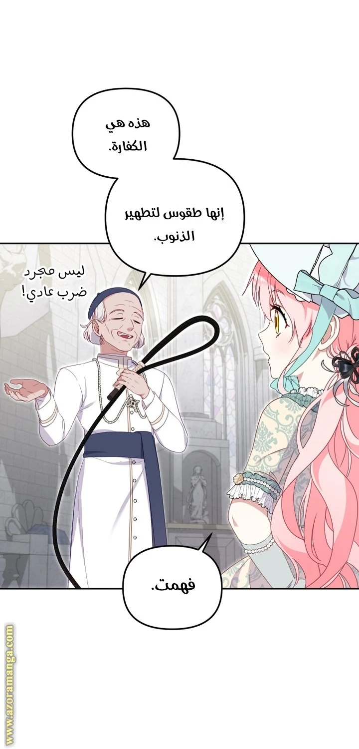 الصفحة 41
