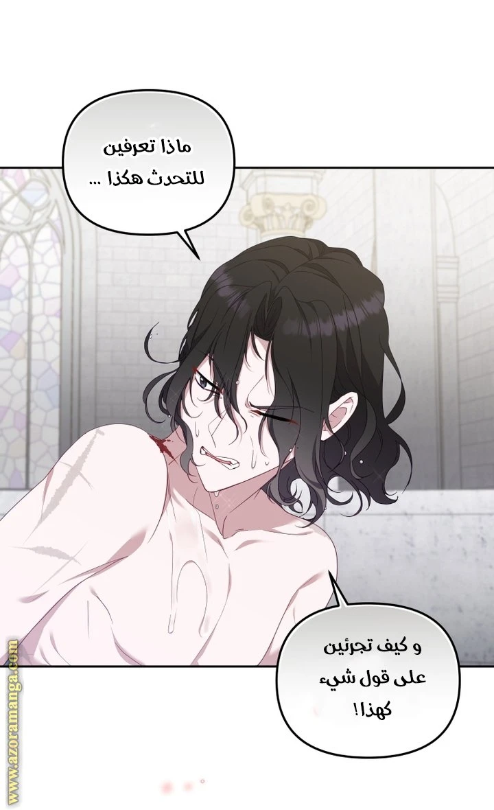 الصفحة 46