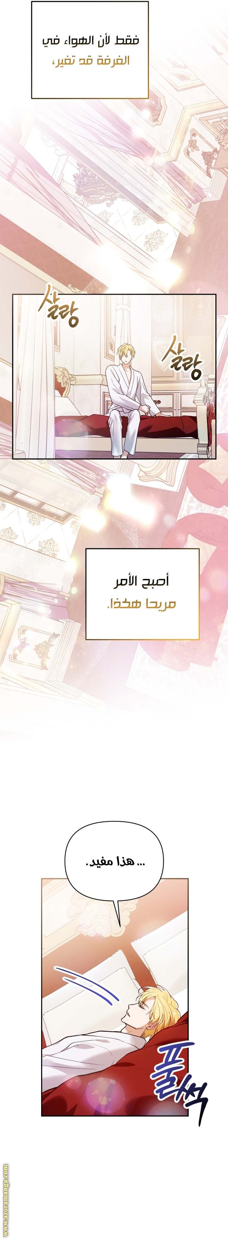 الصفحة 20