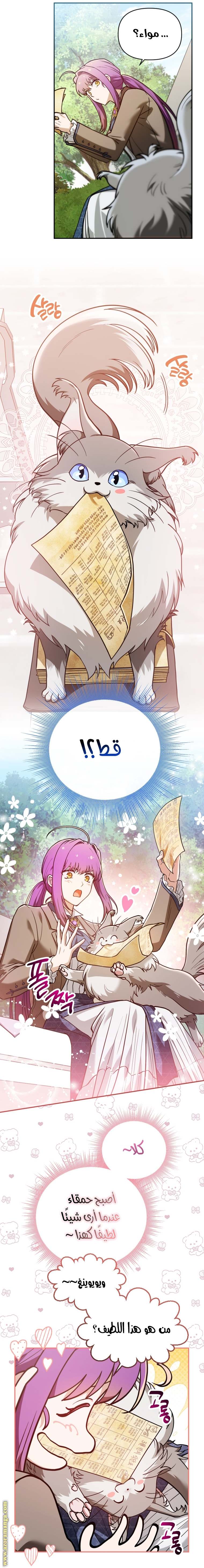 الصفحة 26