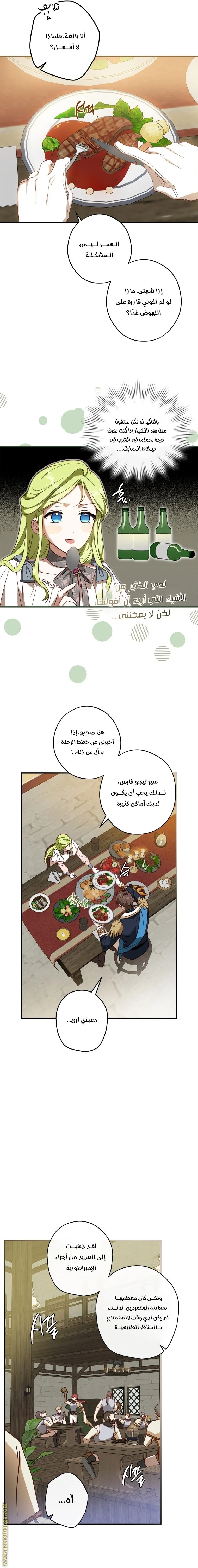 الصفحة 16