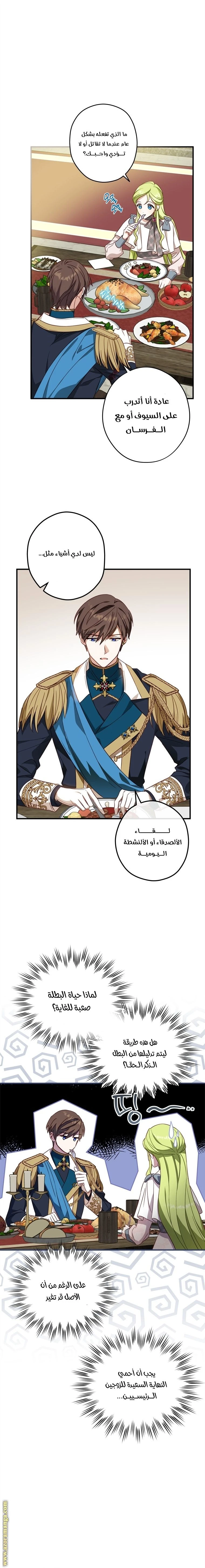 الصفحة 17
