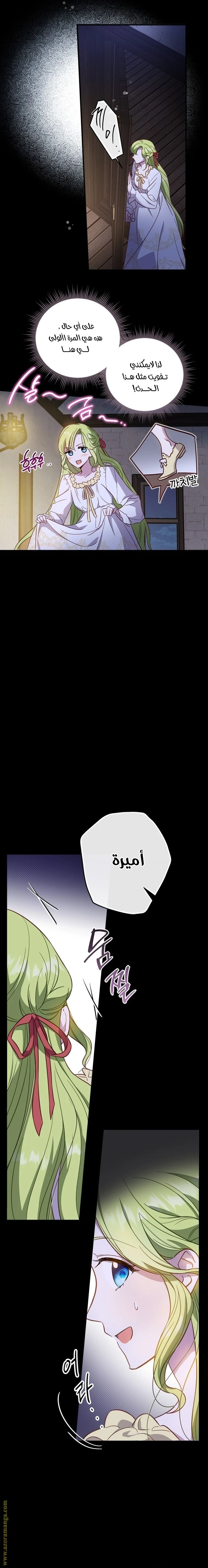 الصفحة 21