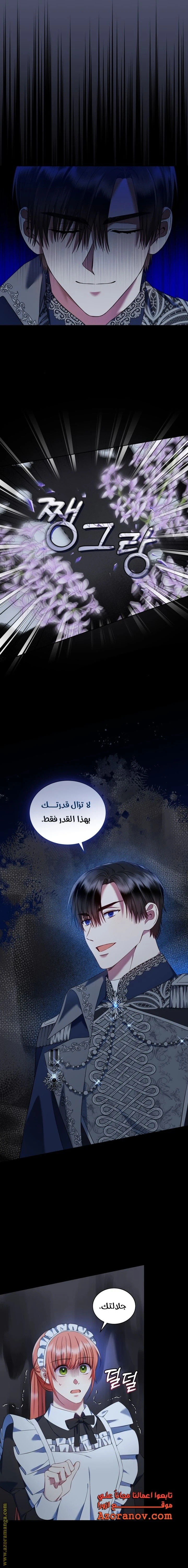 الصفحة 14