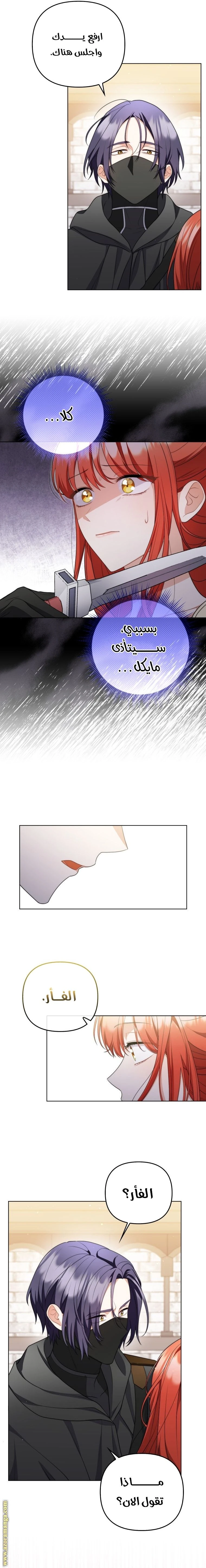 الصفحة 11