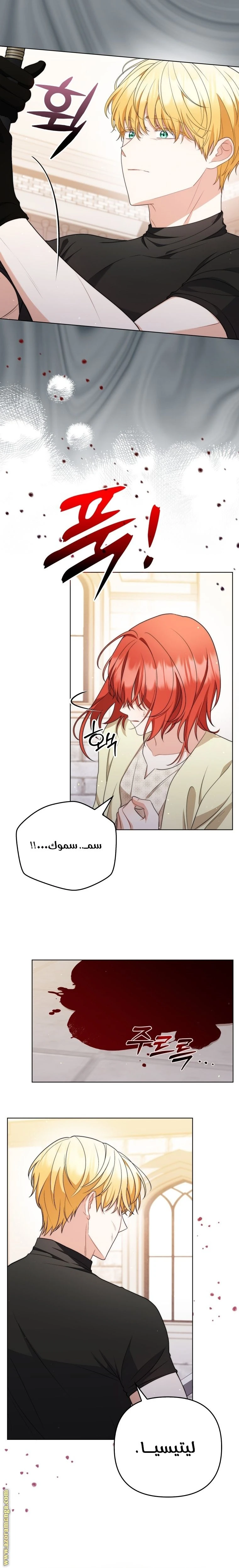 الصفحة 15