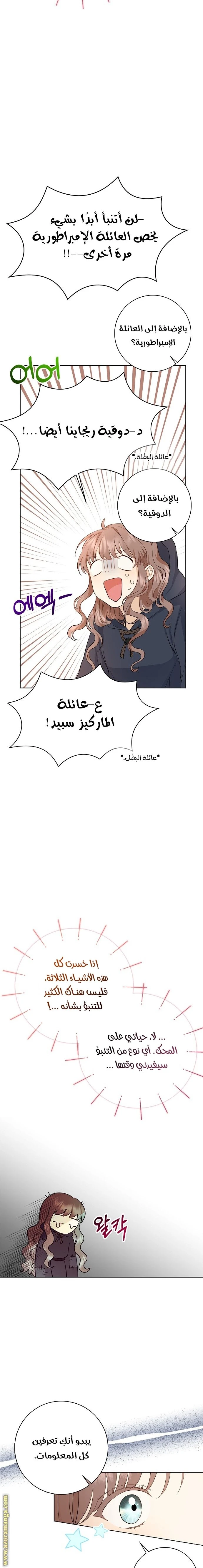 الصفحة 17