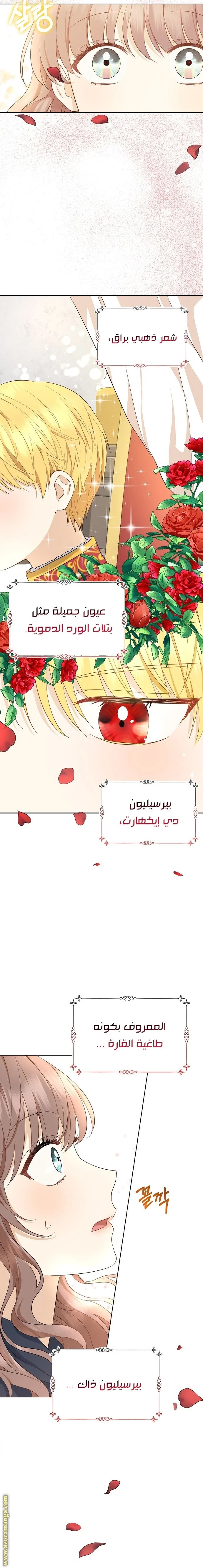 الصفحة 19