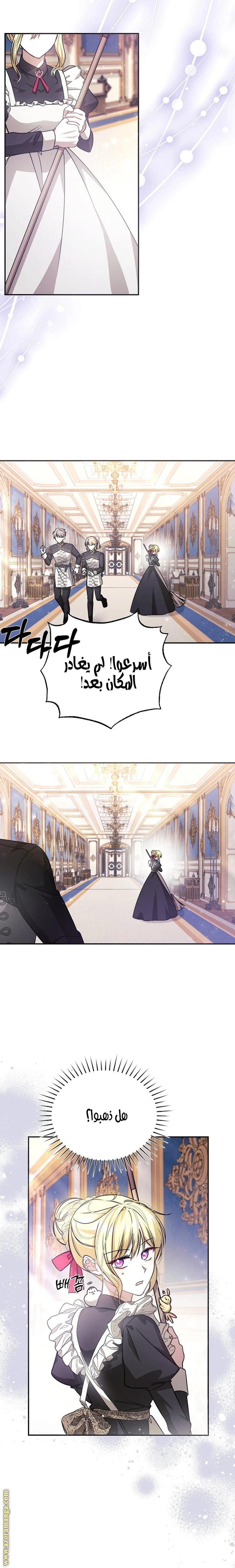 الصفحة 17