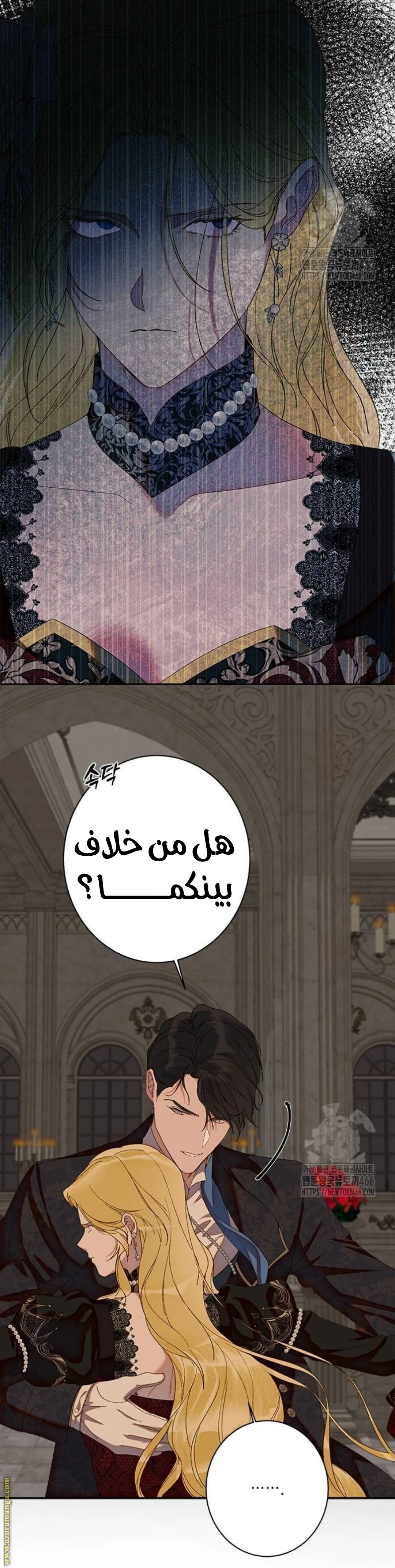 الصفحة 25