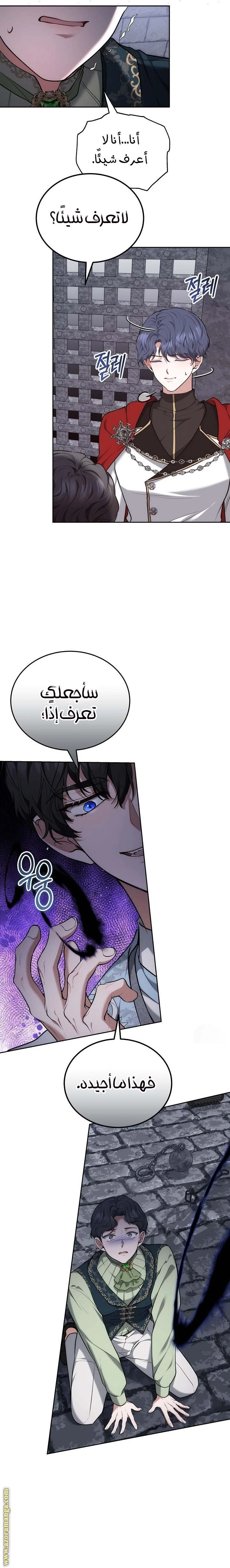 الصفحة 13