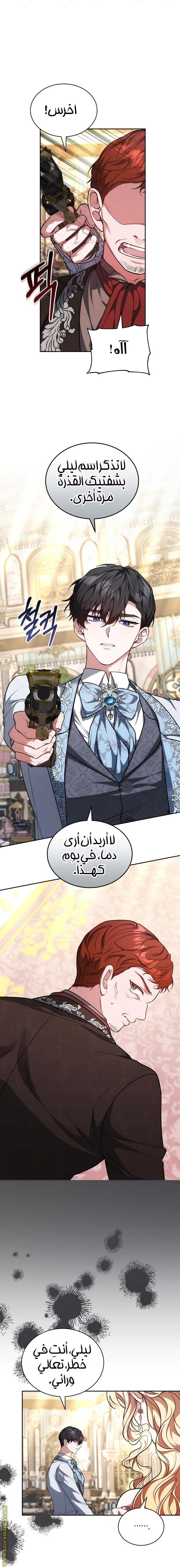 الصفحة 26