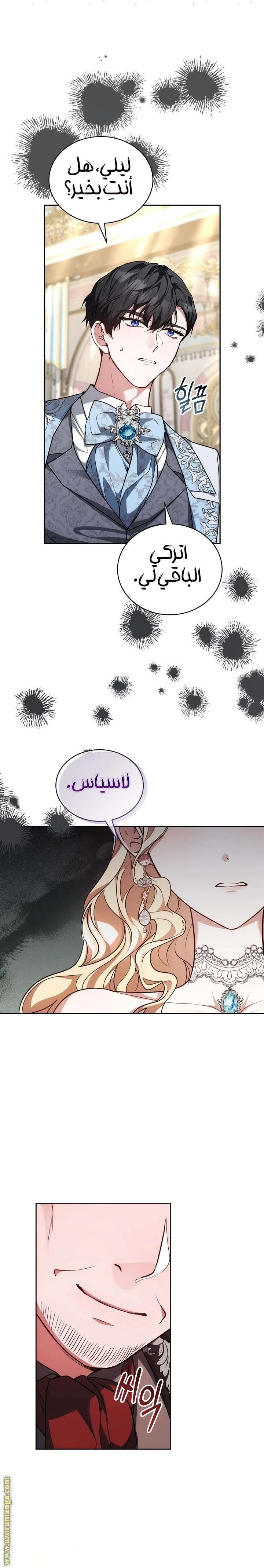 الصفحة 27
