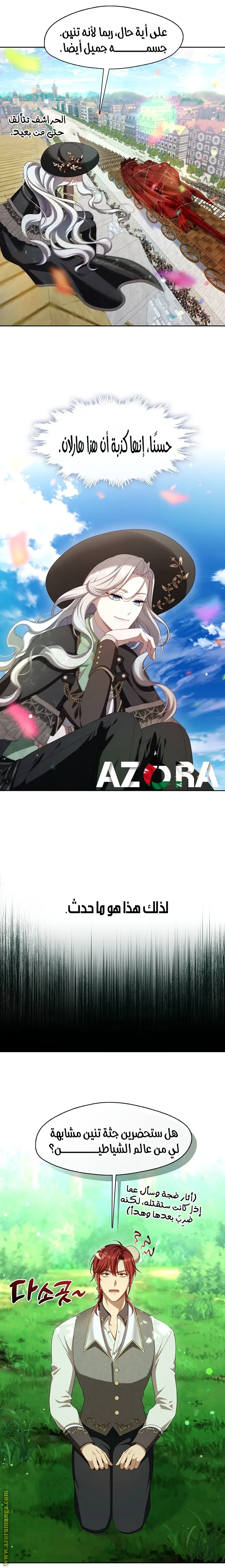 الصفحة 17