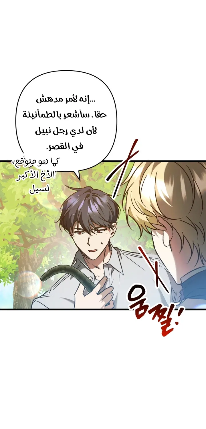 الصفحة 19