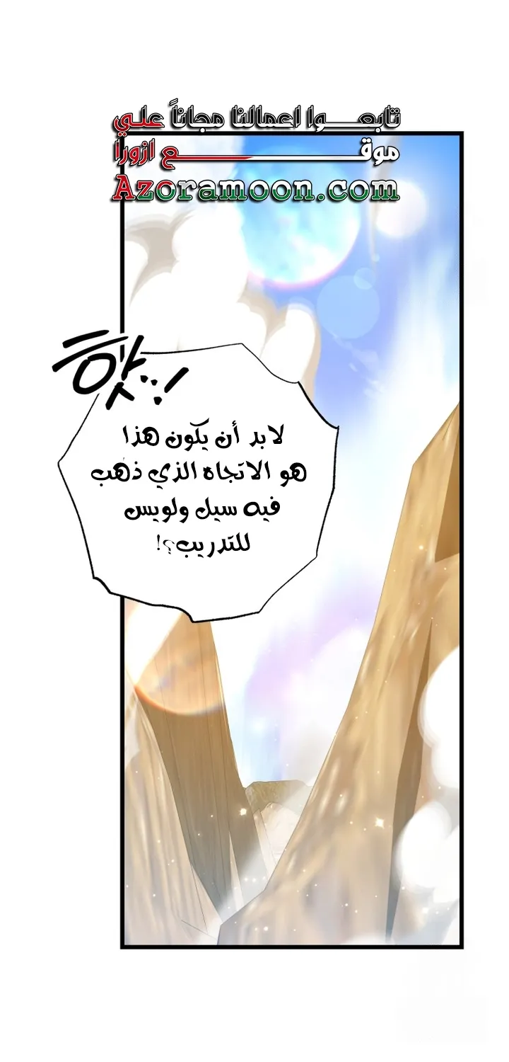 الصفحة 43