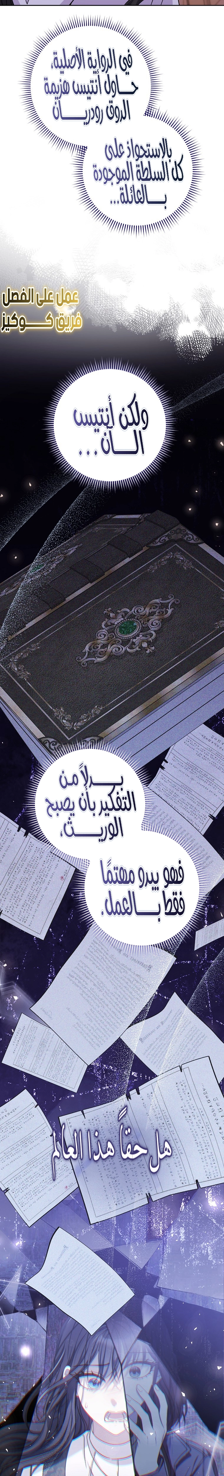 الصفحة 17