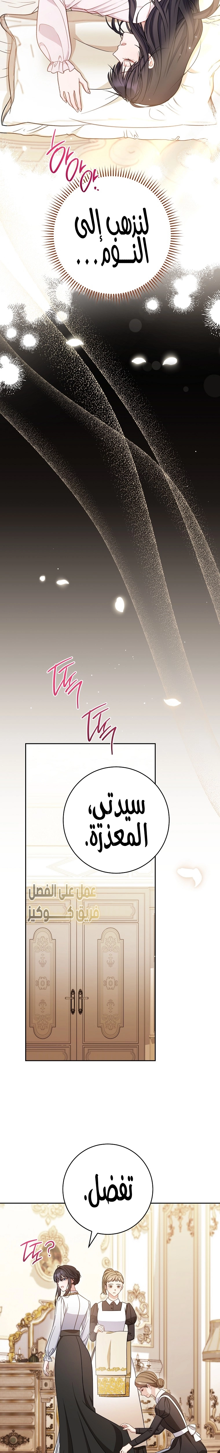 الصفحة 22