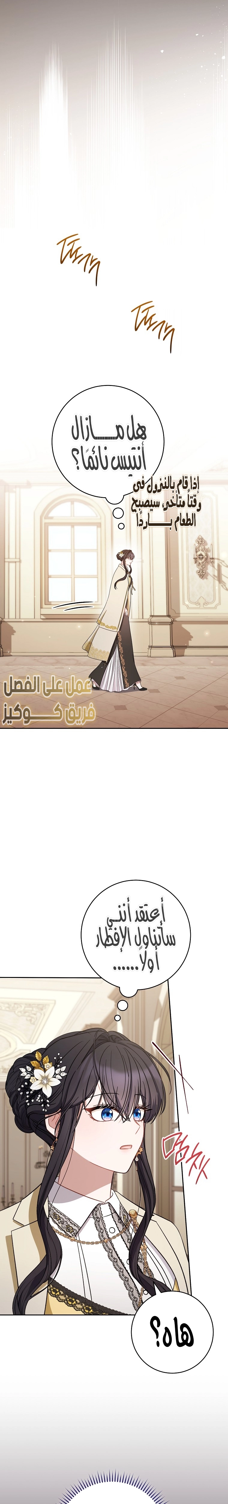 الصفحة 25