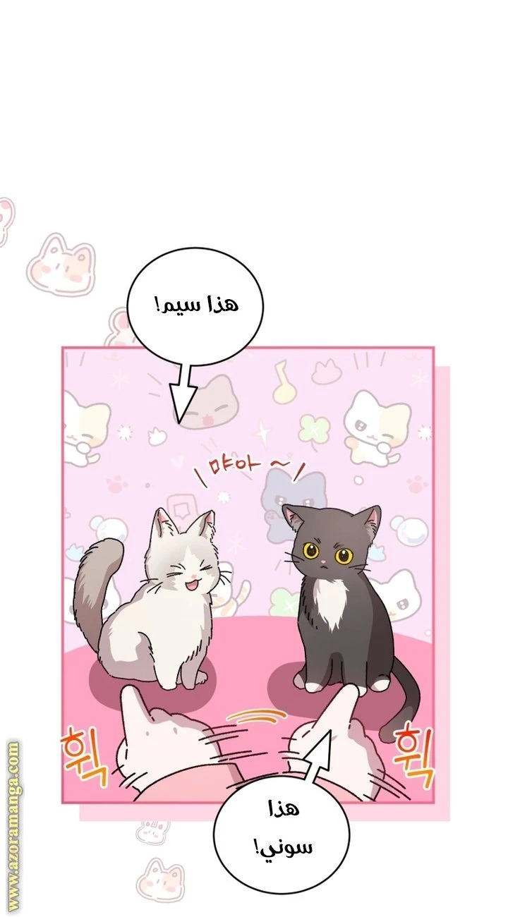 الصفحة 25