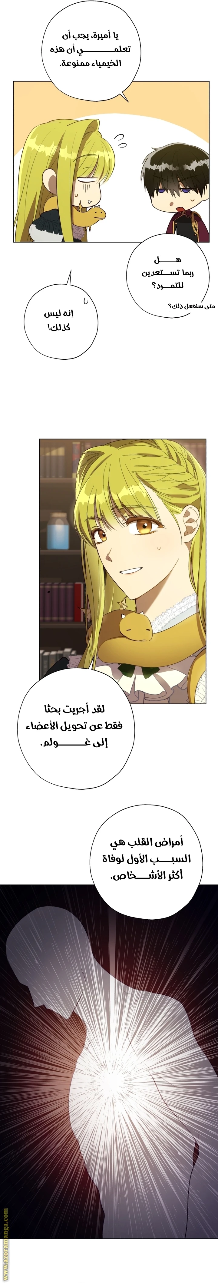الصفحة 16