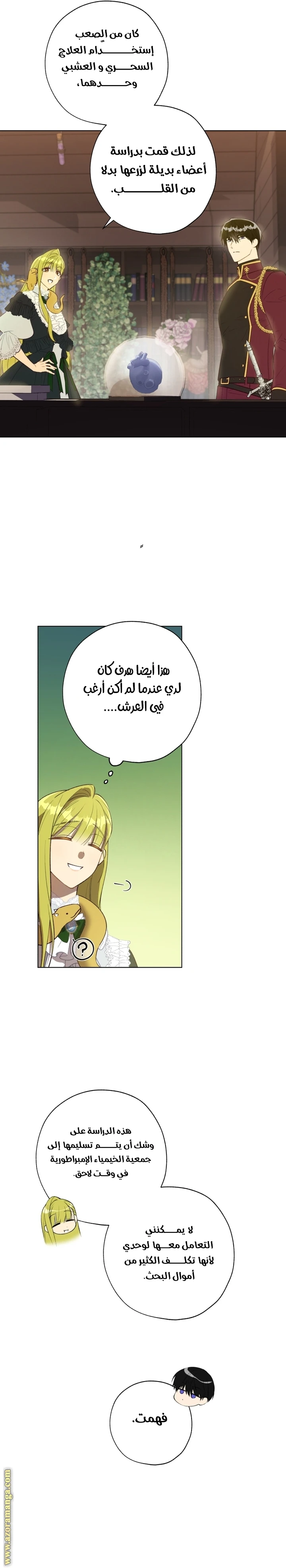 الصفحة 17