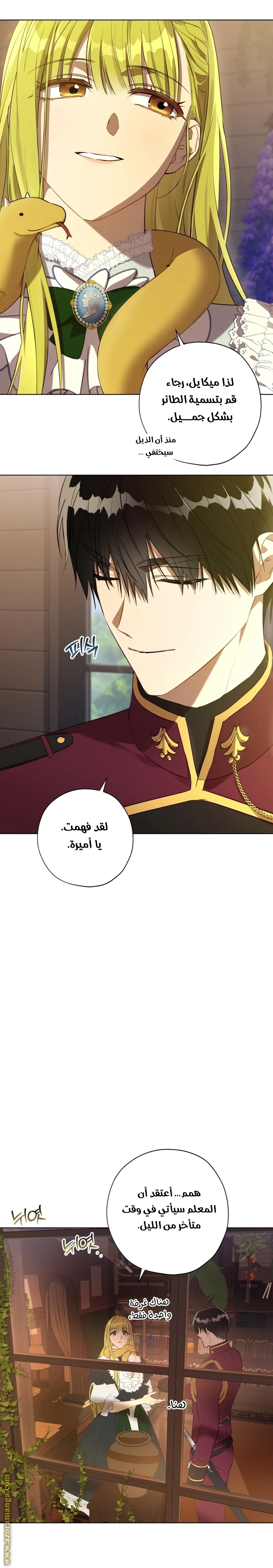 الصفحة 19