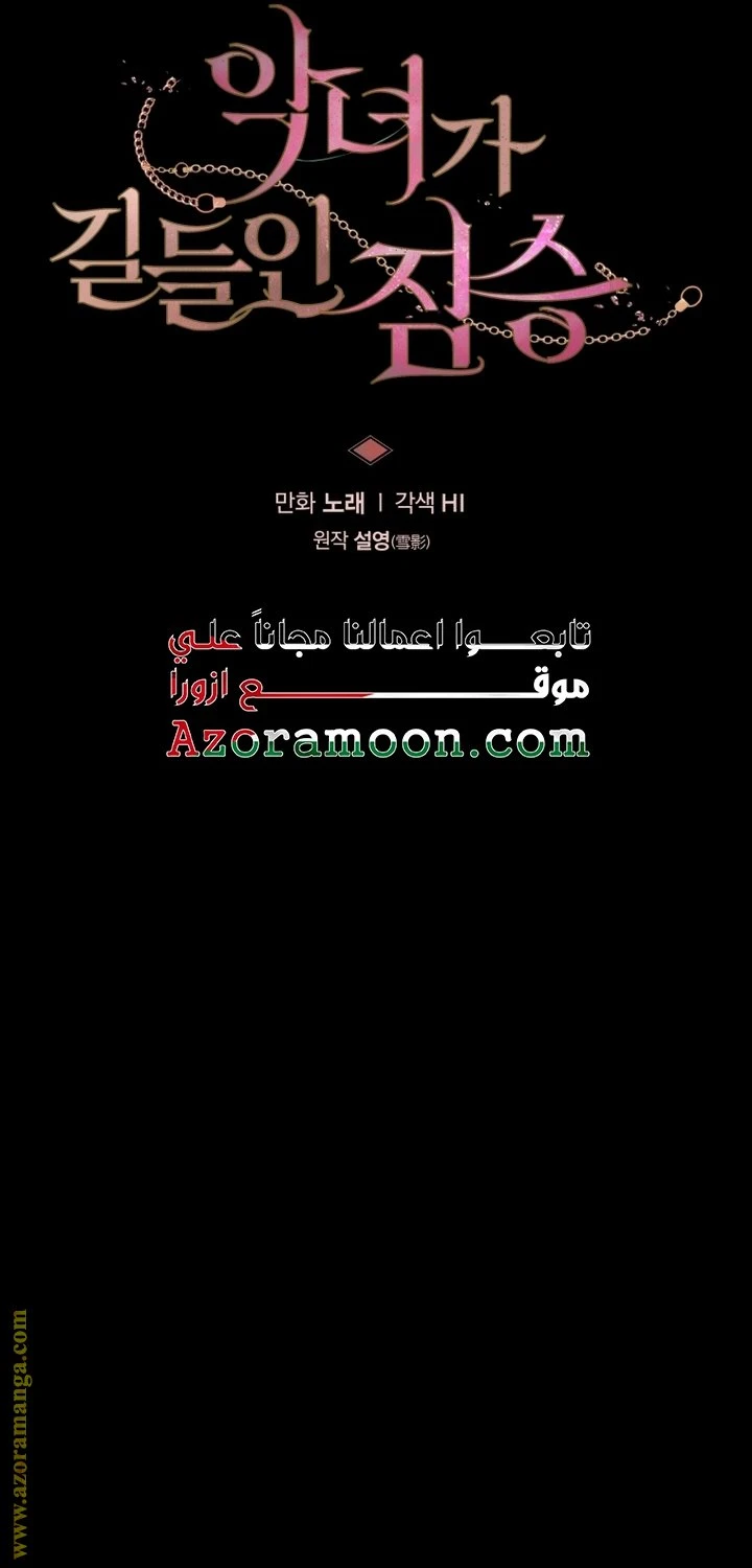 الصفحة 23