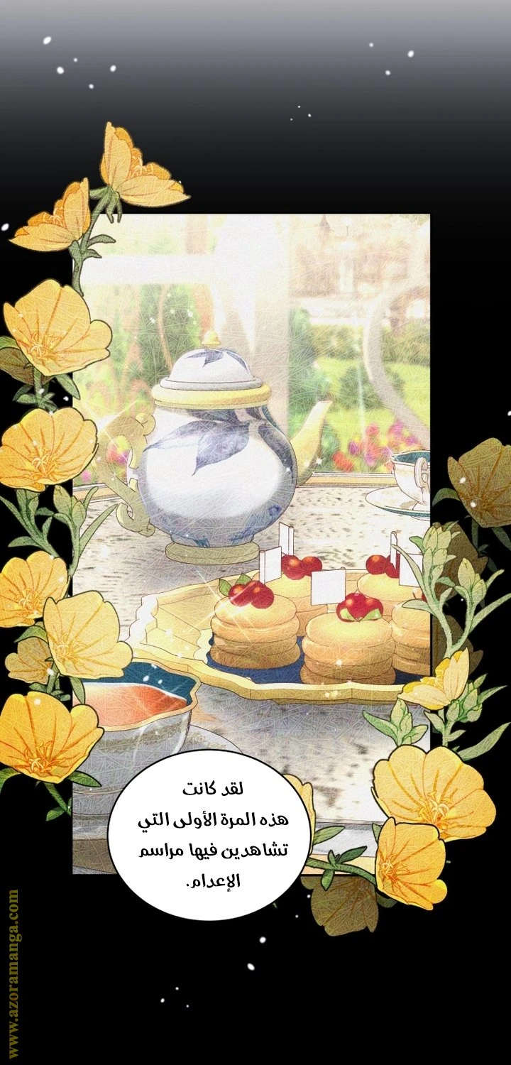 الصفحة 47