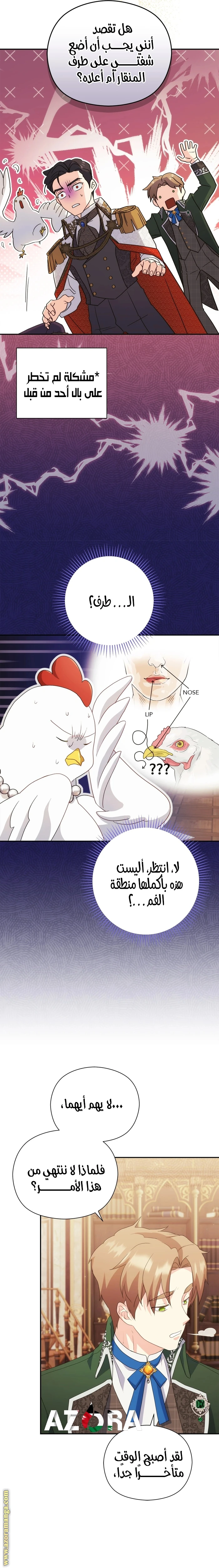 الصفحة 8