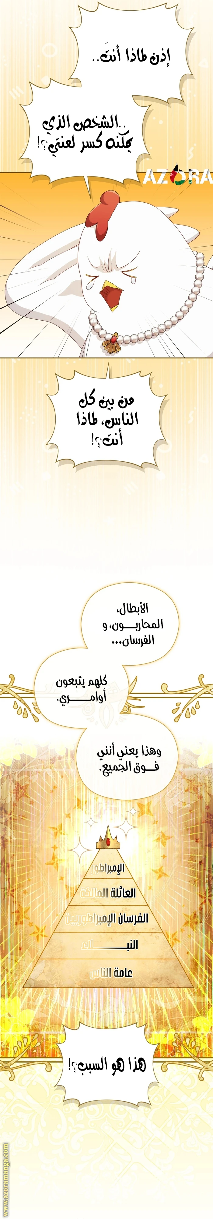 الصفحة 21