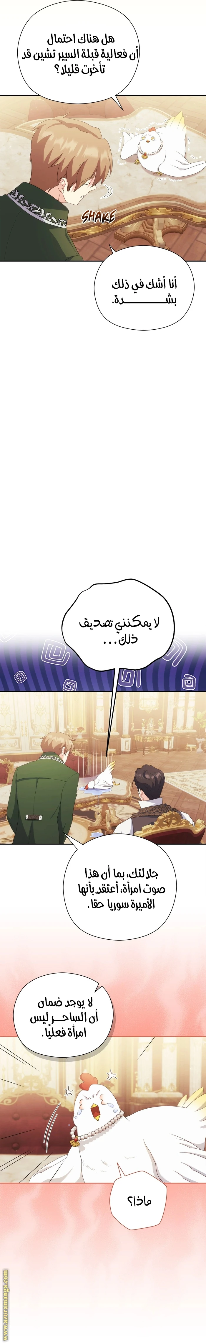 الصفحة 22