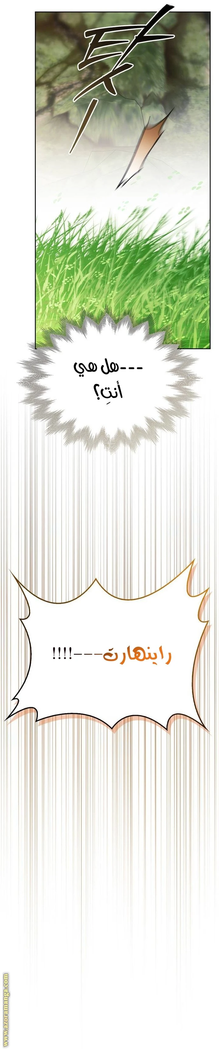 الصفحة 18