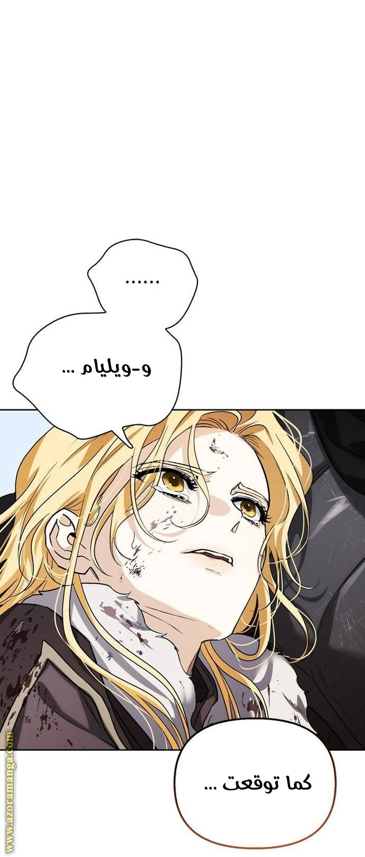 الصفحة 25
