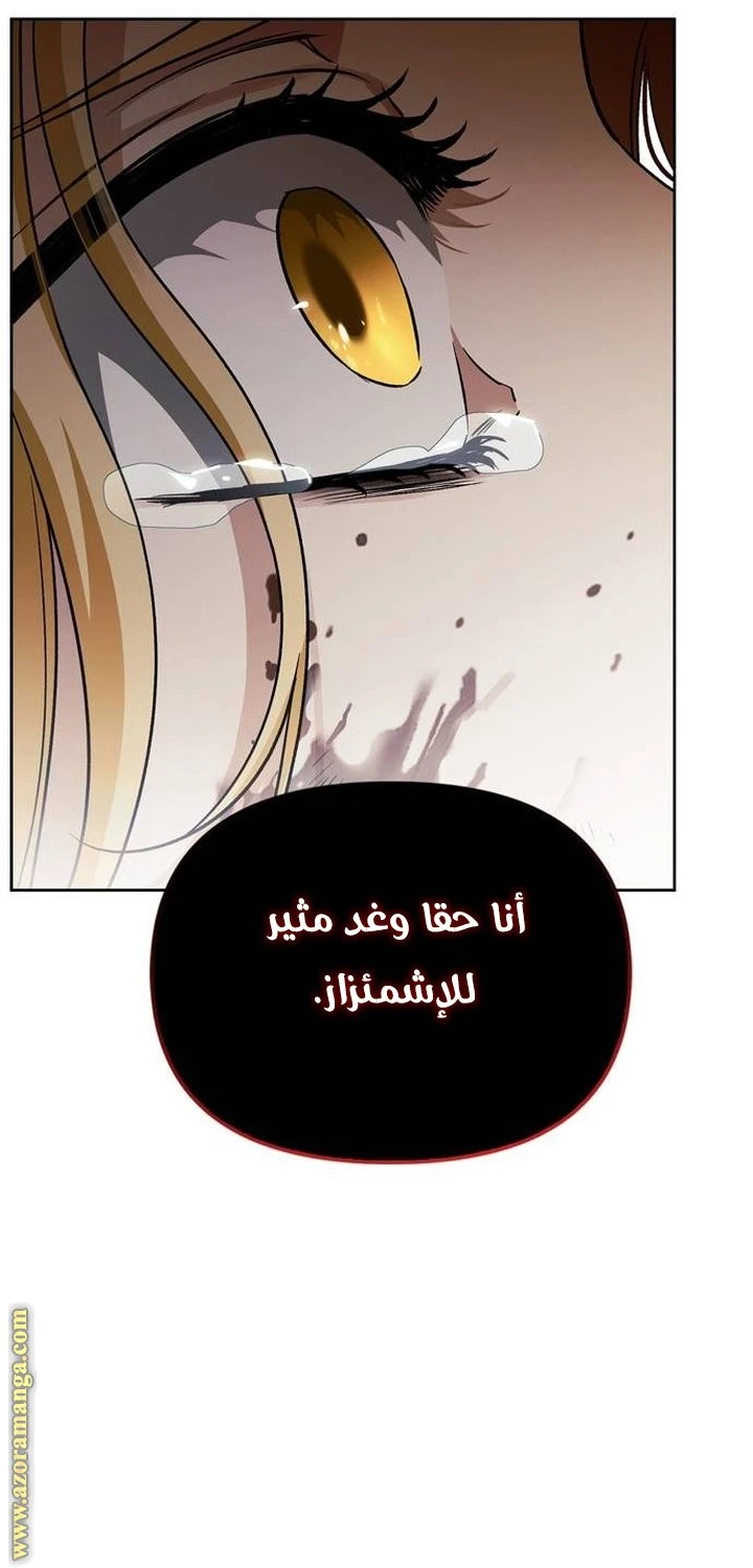 الصفحة 29