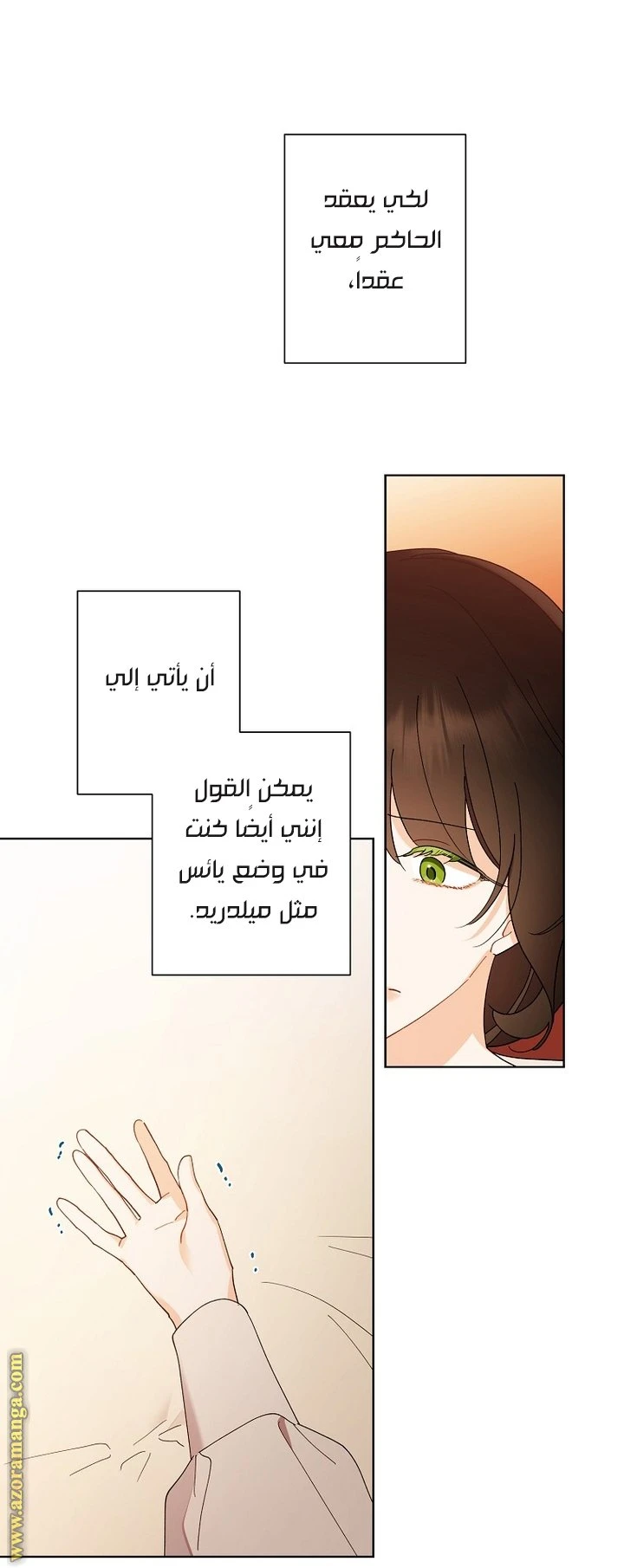 الصفحة 12