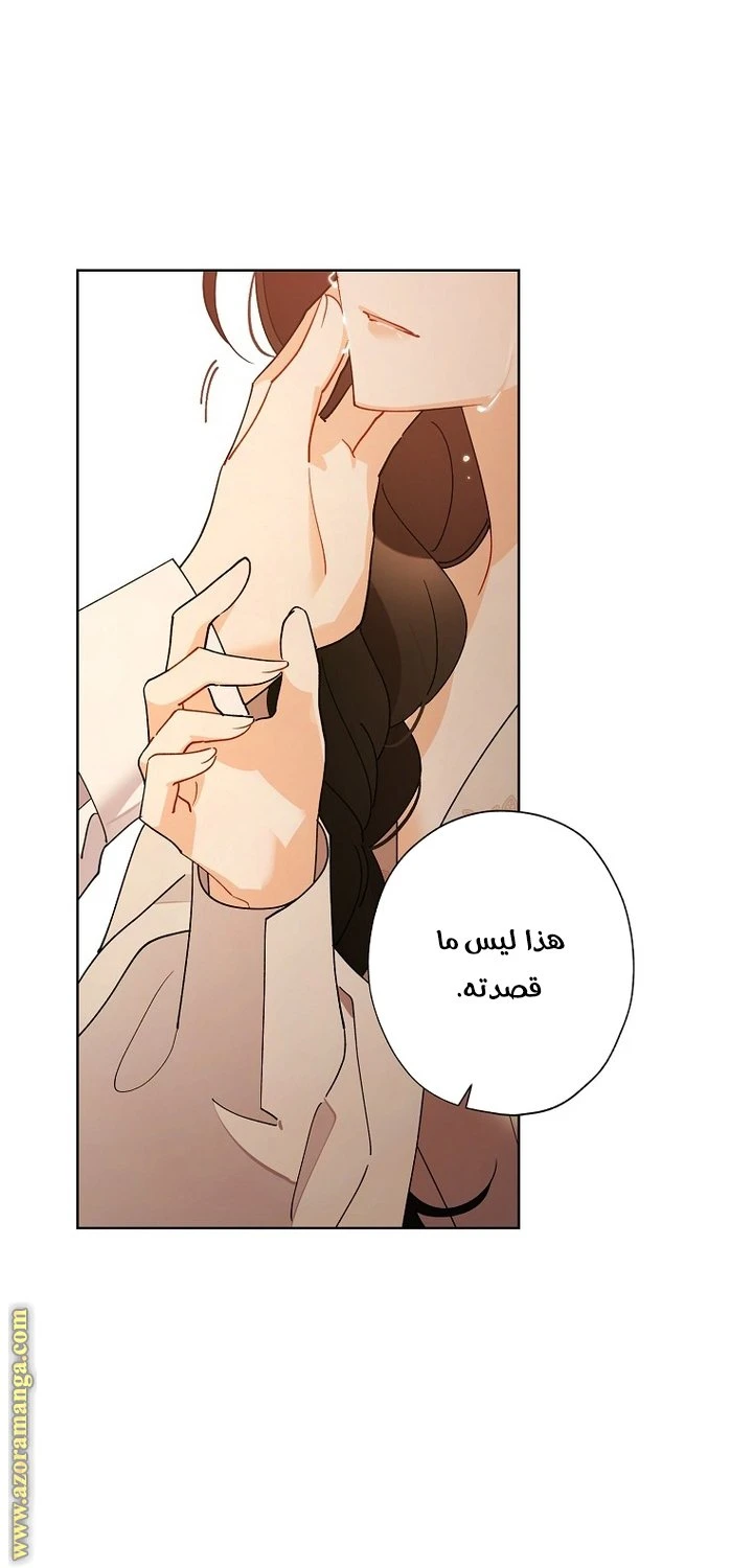الصفحة 23