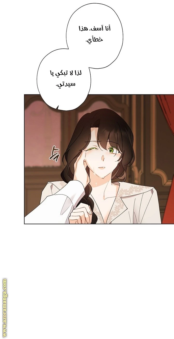 الصفحة 26