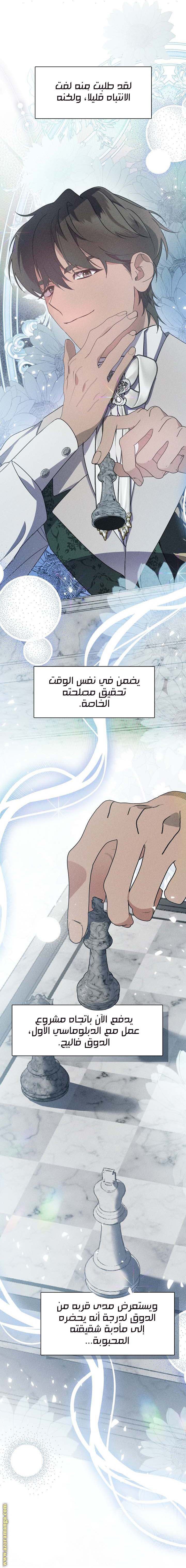 الصفحة 17