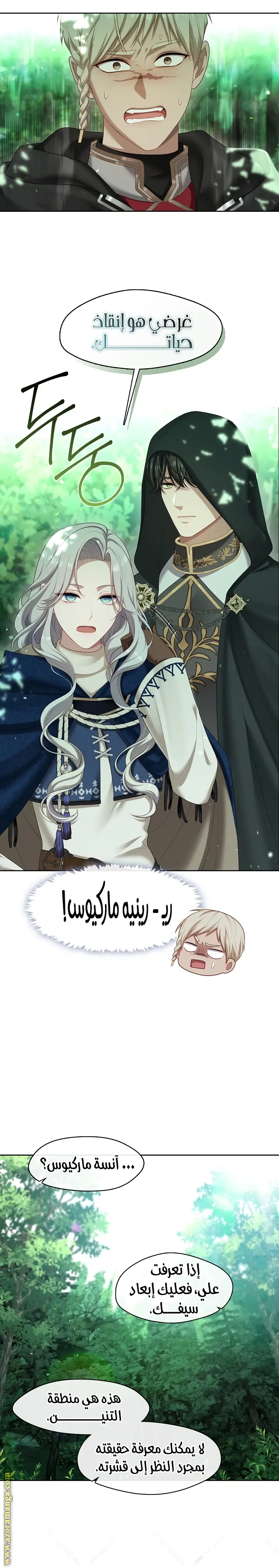 الصفحة 14