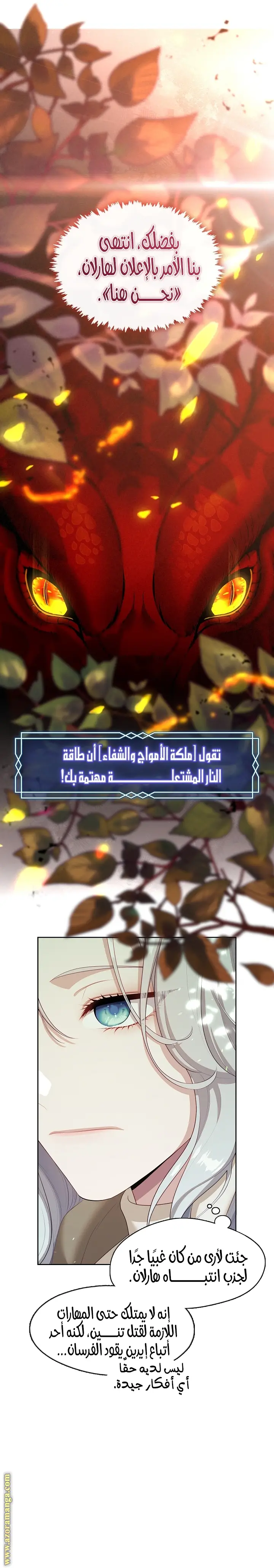 الصفحة 16