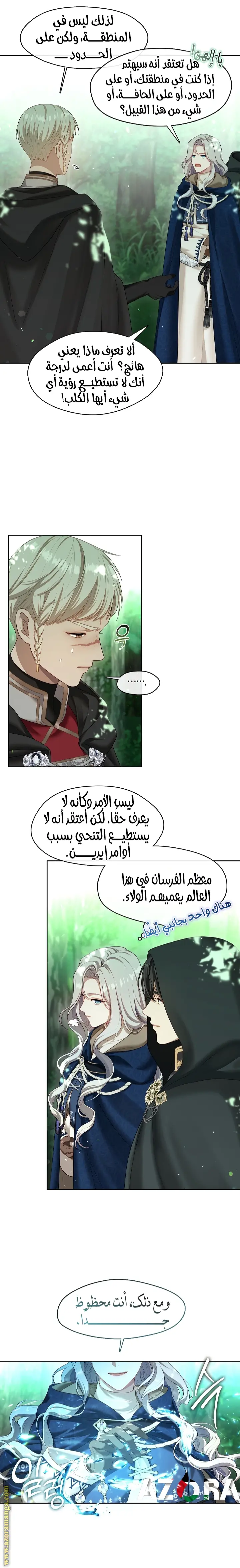 الصفحة 17