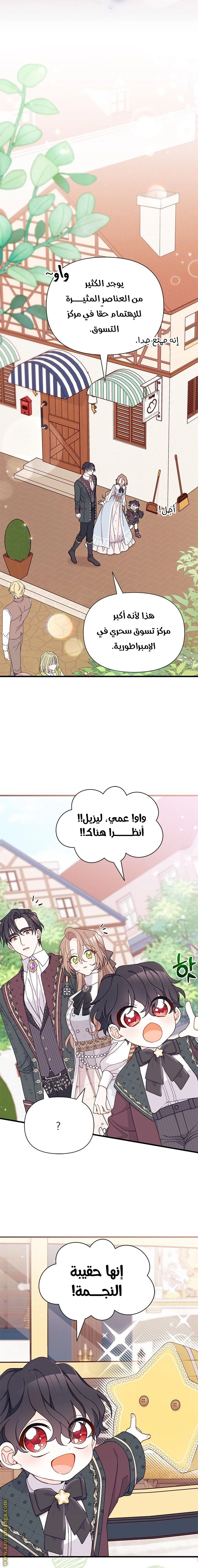 الصفحة 13